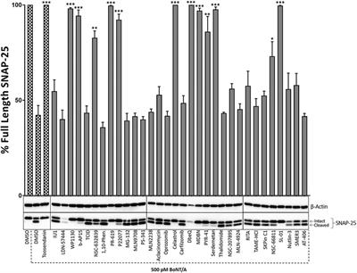 Screening of a Focused Ubiquitin-Proteasome Pathway Inhibitor Library Identifies Small Molecules as Novel Modulators of Botulinum Neurotoxin Type A Toxicity